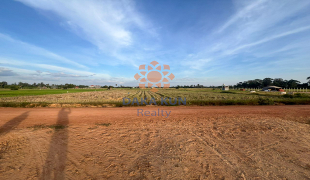 Land For Sale In Siem Reap City-Prasat Bakong